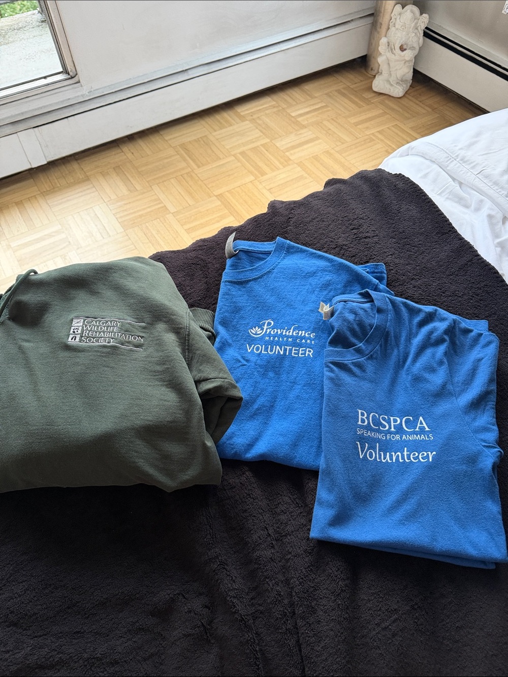 Volunteer T-Shirts and Hoodie!